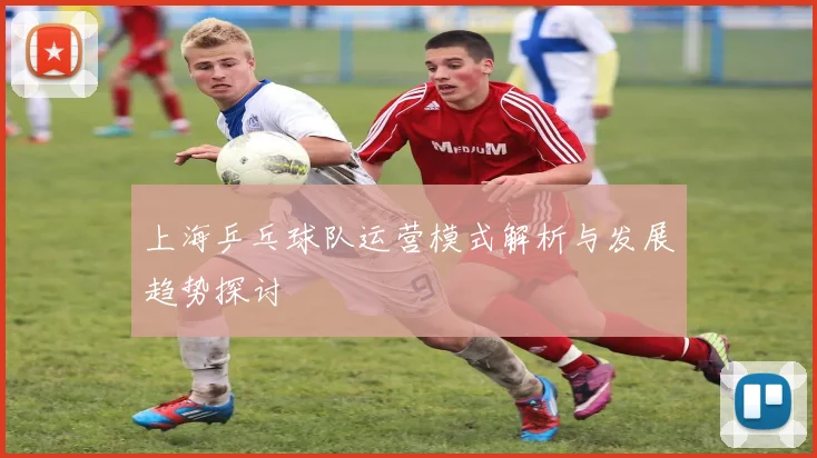 上海乒乓球队运营模式解析与发展趋势探讨