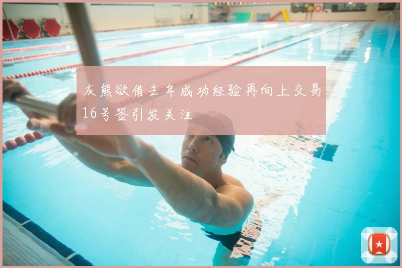 灰熊欲借去年成功经验再向上交易16号签引发关注