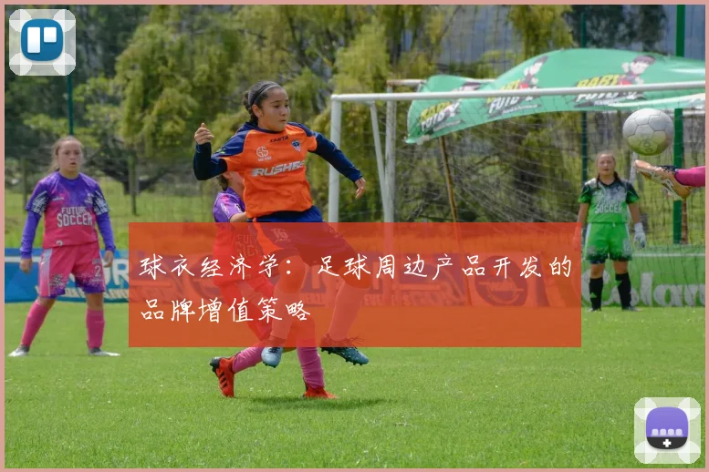 球衣经济学：足球周边产品开发的品牌增值策略