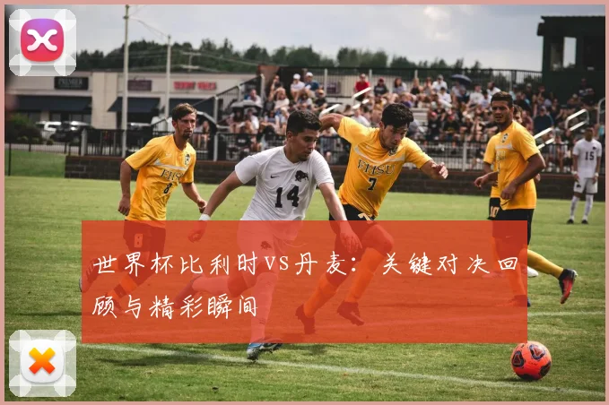 世界杯比利时vs丹麦：关键对决回顾与精彩瞬间