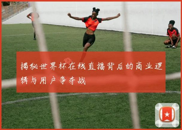 揭秘世界杯在线直播背后的商业逻辑与用户争夺战