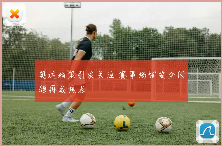 奥运狗笼引发关注 赛事场馆安全问题再成焦点