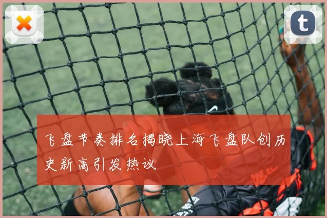 飞盘节奏排名揭晓上海飞盘队创历史新高引发热议