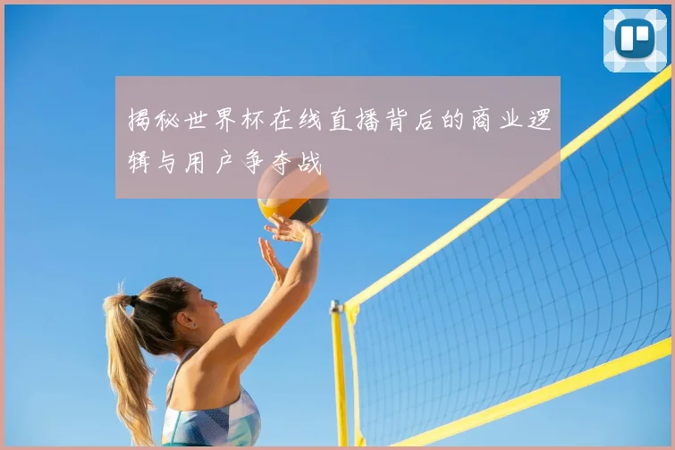 揭秘世界杯在线直播背后的商业逻辑与用户争夺战