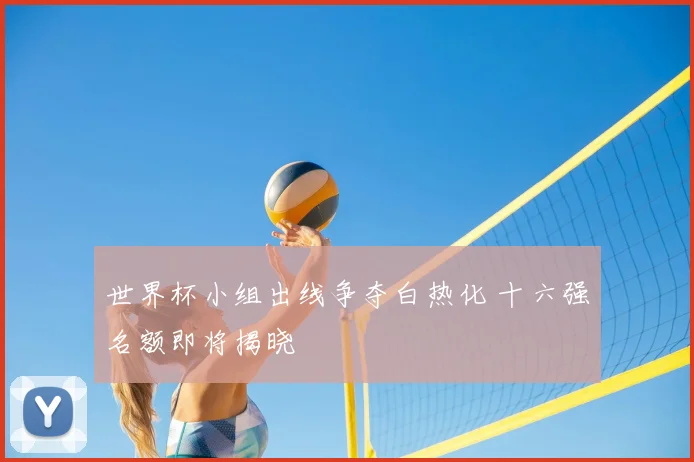 世界杯小组出线争夺白热化 十六强名额即将揭晓