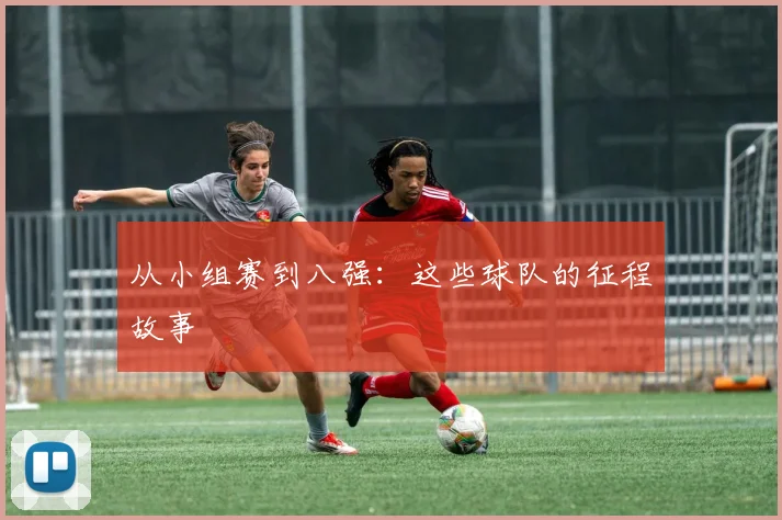从小组赛到八强：这些球队的征程故事