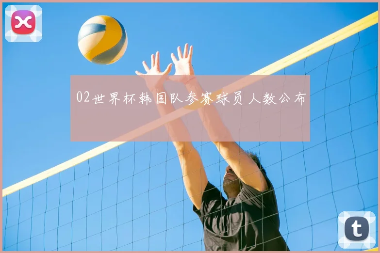 02世界杯韩国队参赛球员人数公布