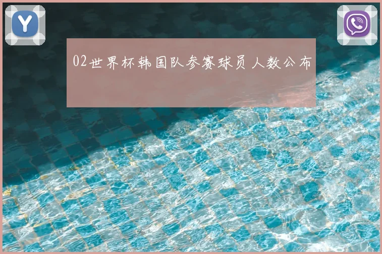 02世界杯韩国队参赛球员人数公布