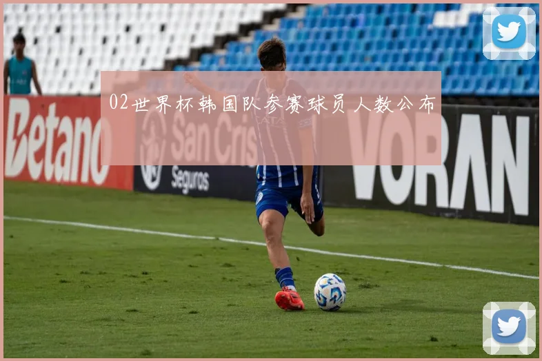 02世界杯韩国队参赛球员人数公布