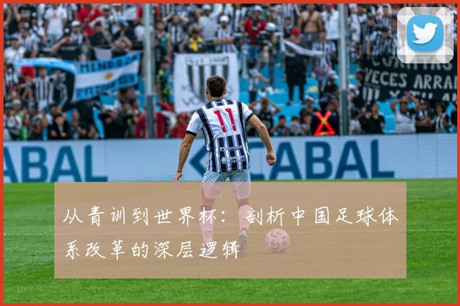 从青训到世界杯：剖析中国足球体系改革的深层逻辑